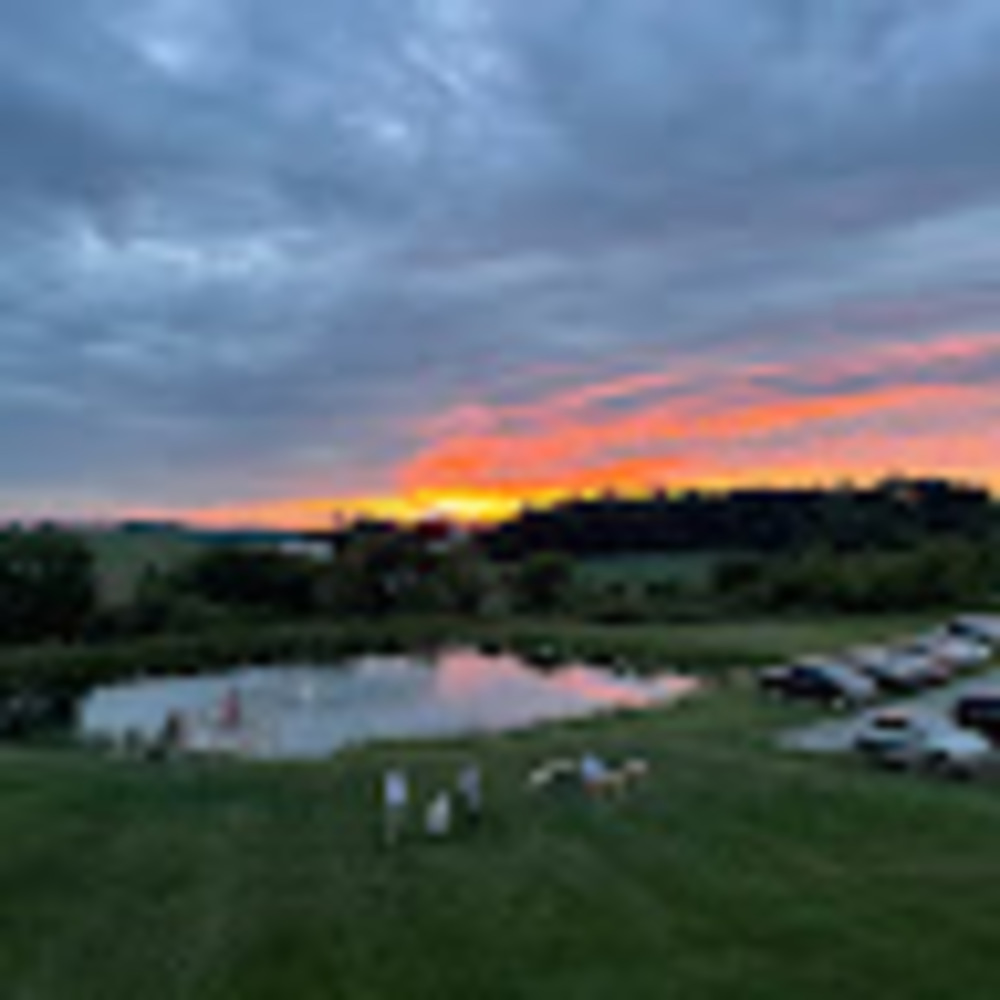 Meet your Posher, Camille